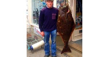 71lb whitby halibut Alan Machen 380.jpg